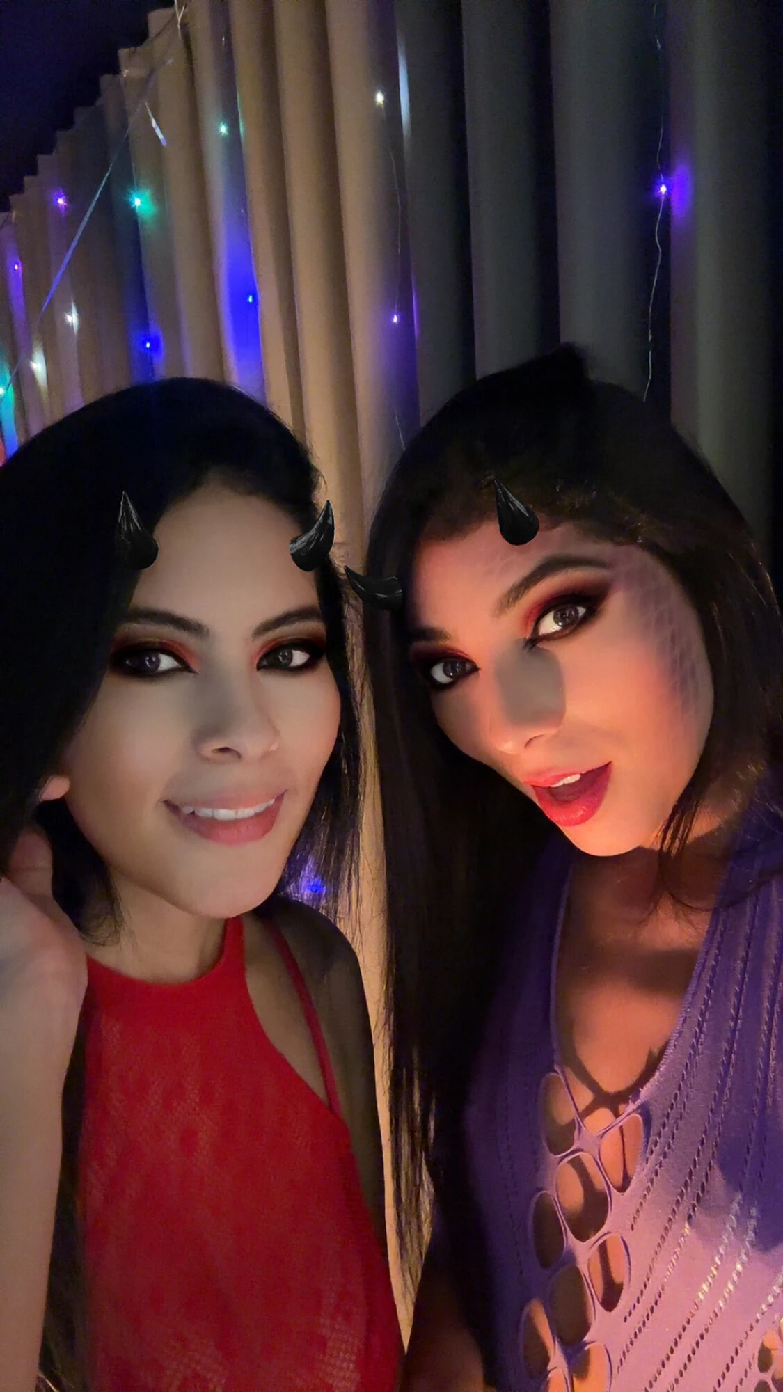  Feline Gaze
